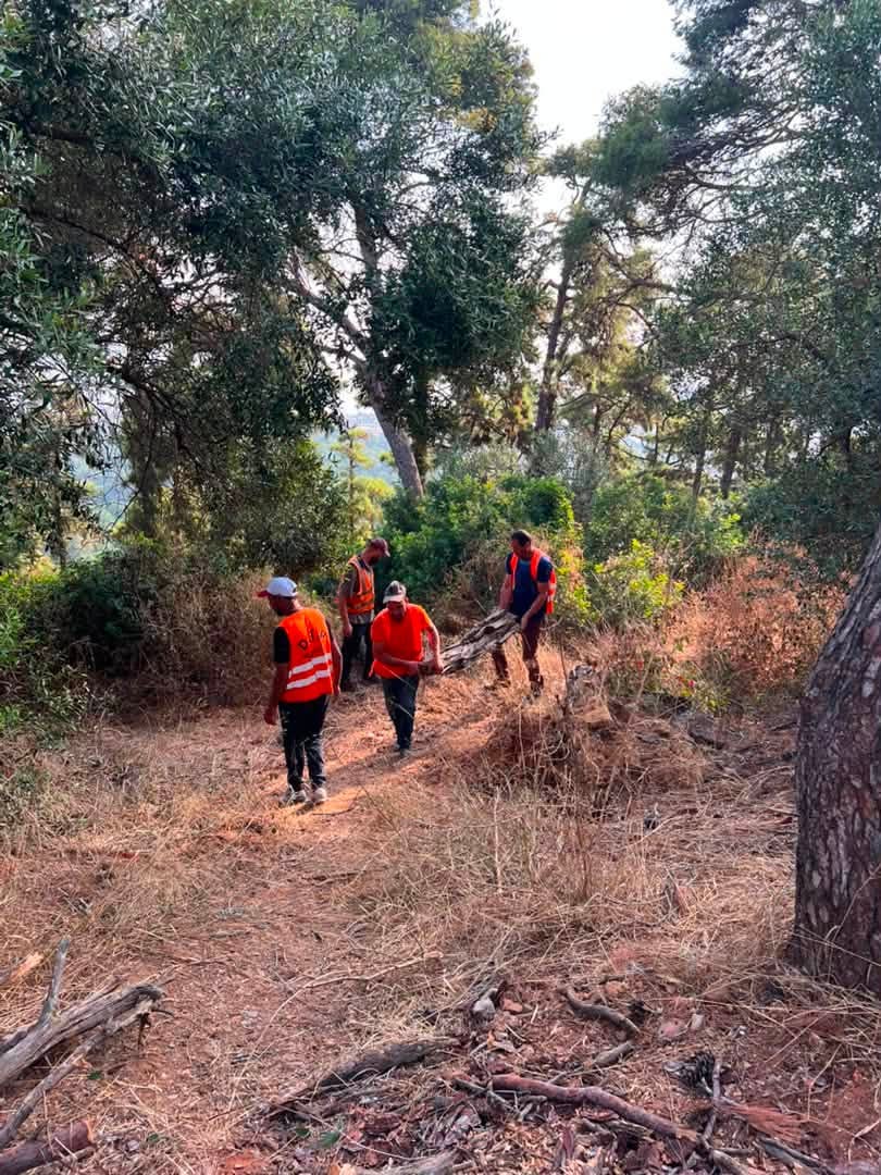 حملة تنظيف كبرى للفضاءات الغابية بولاية الجزائر