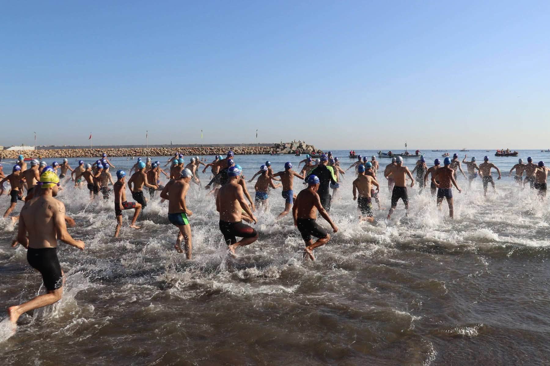 نشاطات مصالح ولاية الجزائر