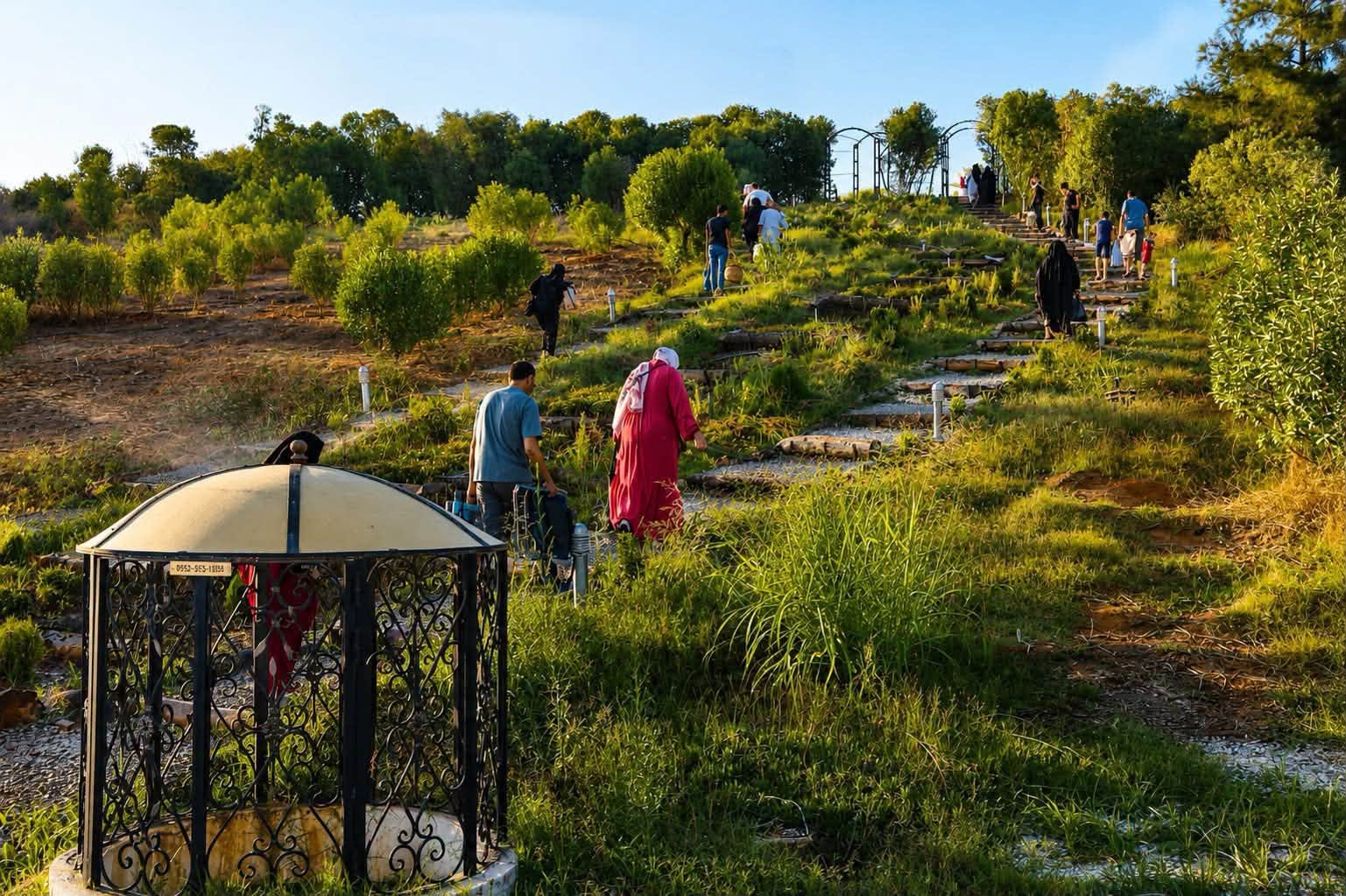 برنامج تنشيط مدينة الجزائر