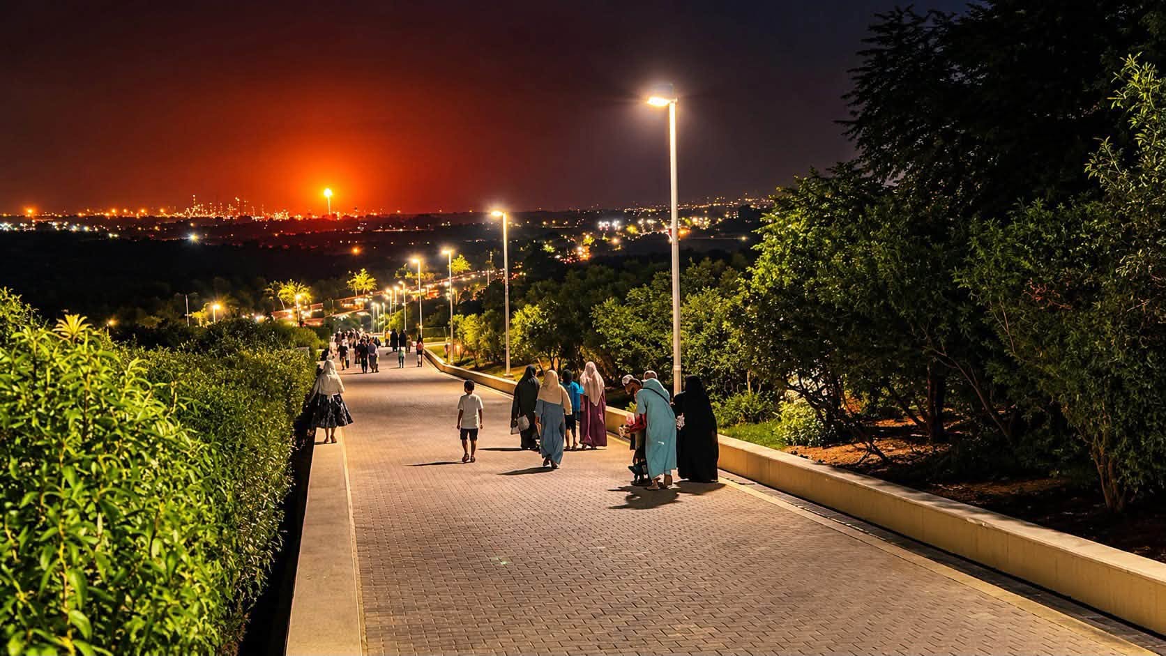 برنامج تنشيط مدينة الجزائر